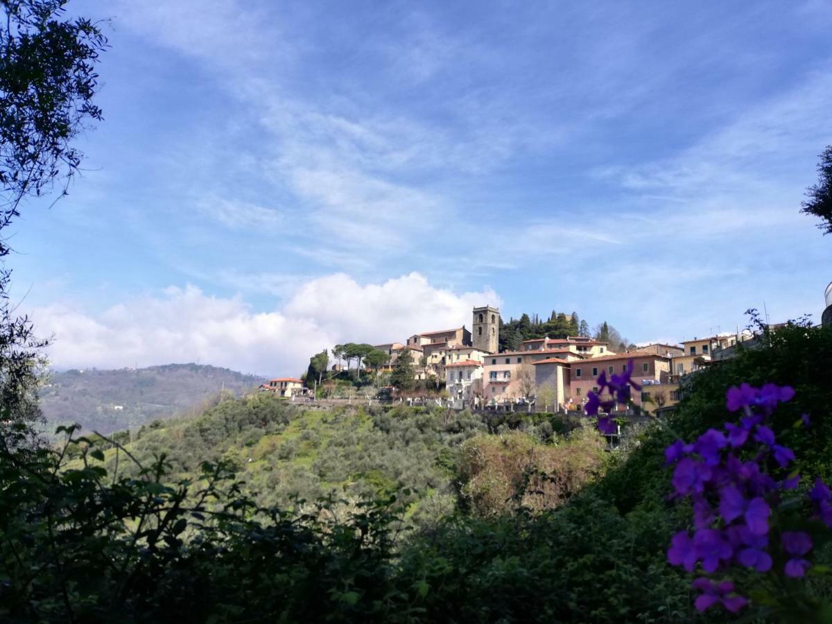 Ferienwohnung Casa Dalia Montecatini Terme Exterior foto